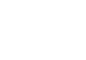 Western Practice Sales