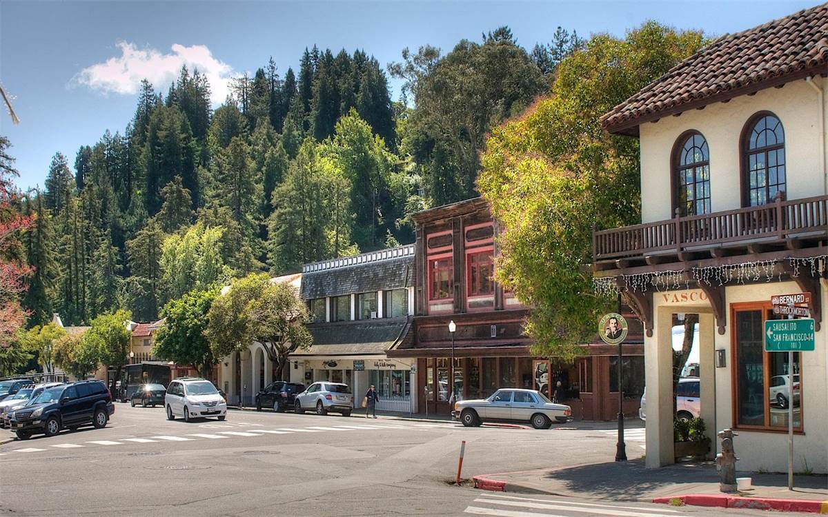 dental office for sale in Mill Valley, California