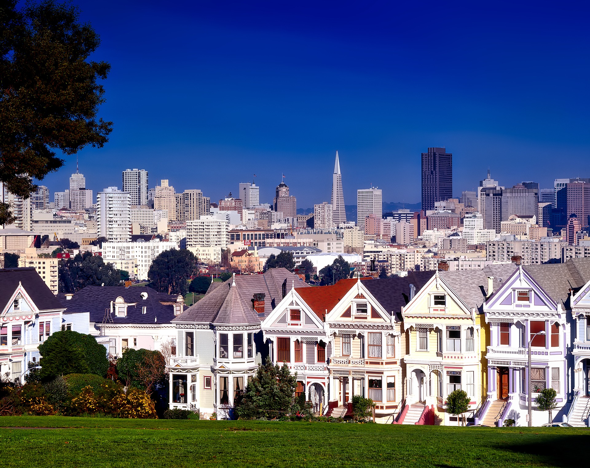 dental practice for sale in san francisco with white houses showing landscape of bay area