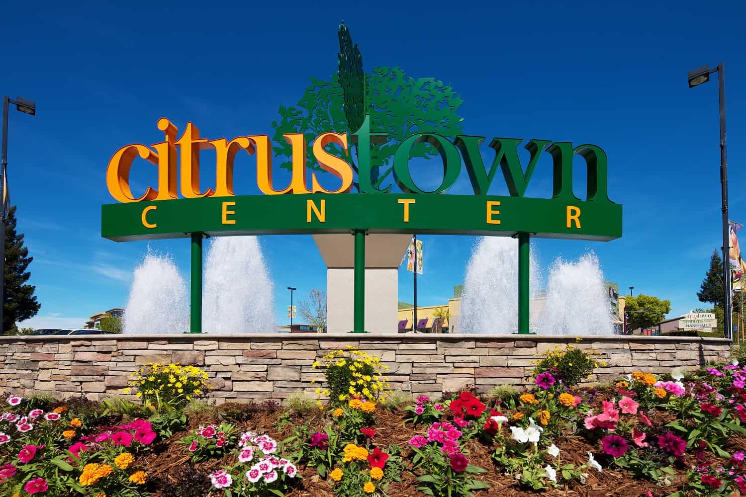 citrus heights town center near dental practice for sale