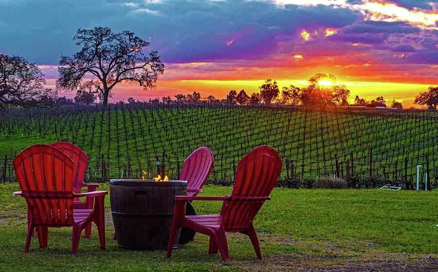 Bokisch Vineyards, Wine County, California